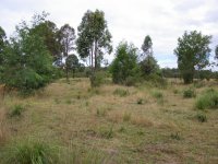 5 ACRES CLOSE TO TOWN
