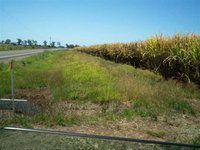 FREEHOLD 98 ACRES IRRIGATION PROPERTY FOR SALE-BUN