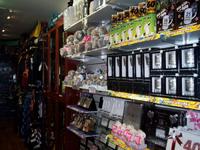 GIFT & NOVELTY STORE IN HOBARTâ??S NORTHERN SUBURBS
