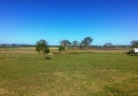 LOOKING FOR A BIT OF SECLUSION LOWOOD  1 BED, 1 BATH, 1.5 ACRES
